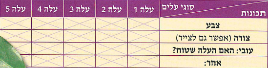 (בספר איור:)
